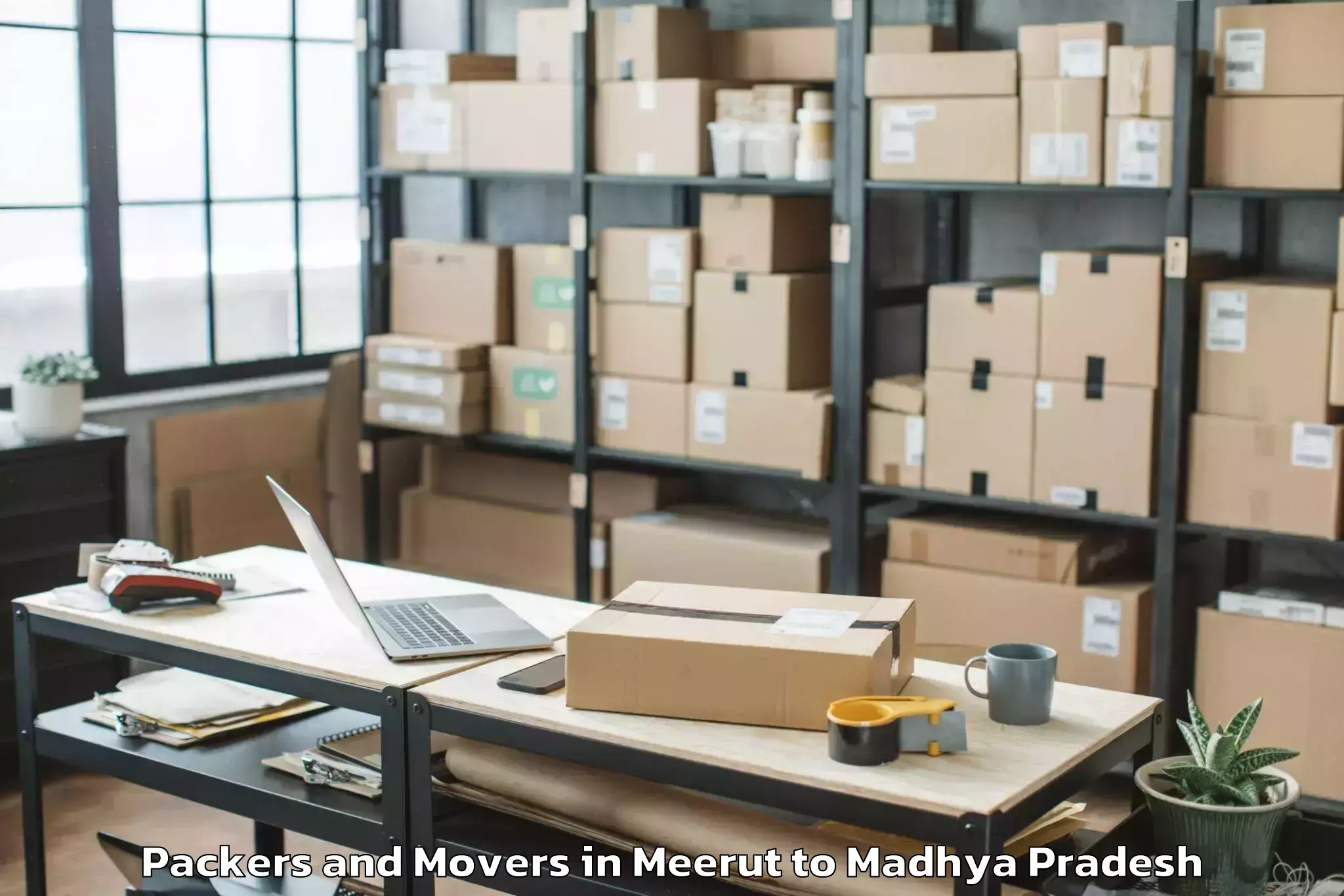 Reliable Meerut to Guna Airport Gux Packers And Movers